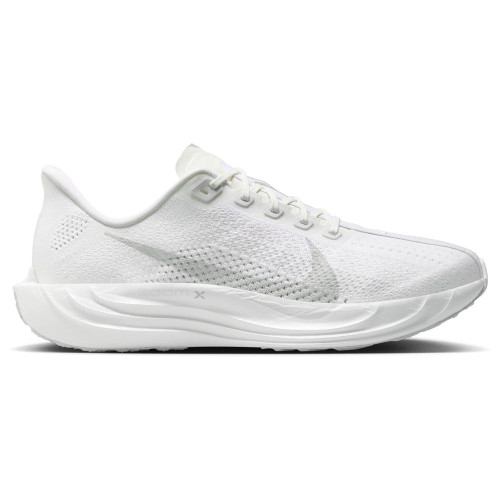Nike Pegasus Plus
